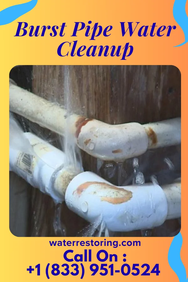 Burst Pipe Water Cleanup in Jeffersonville, OH