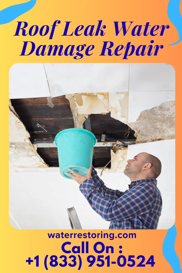 Roof Leak Water Damage Repair in Jeffersonville, OH