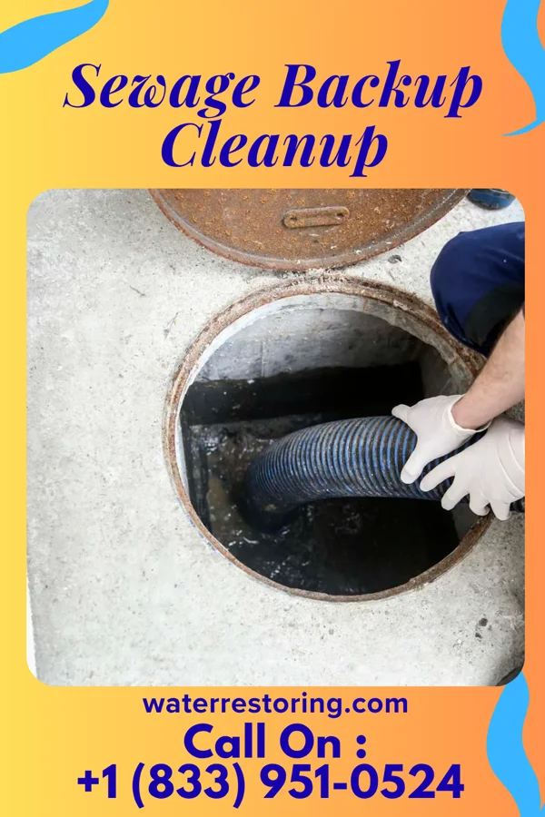 Sewage Backup Cleanup in Jeffersonville, OH