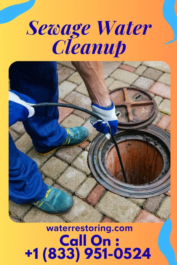Sewage Water Cleanup in Jeffersonville, OH