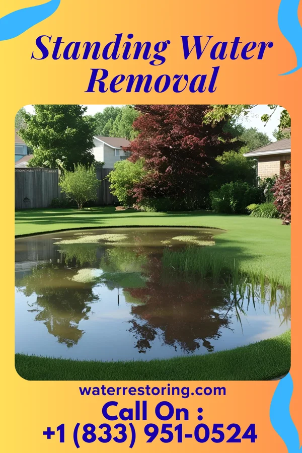 Standing Water Removal in Jeffersonville, OH